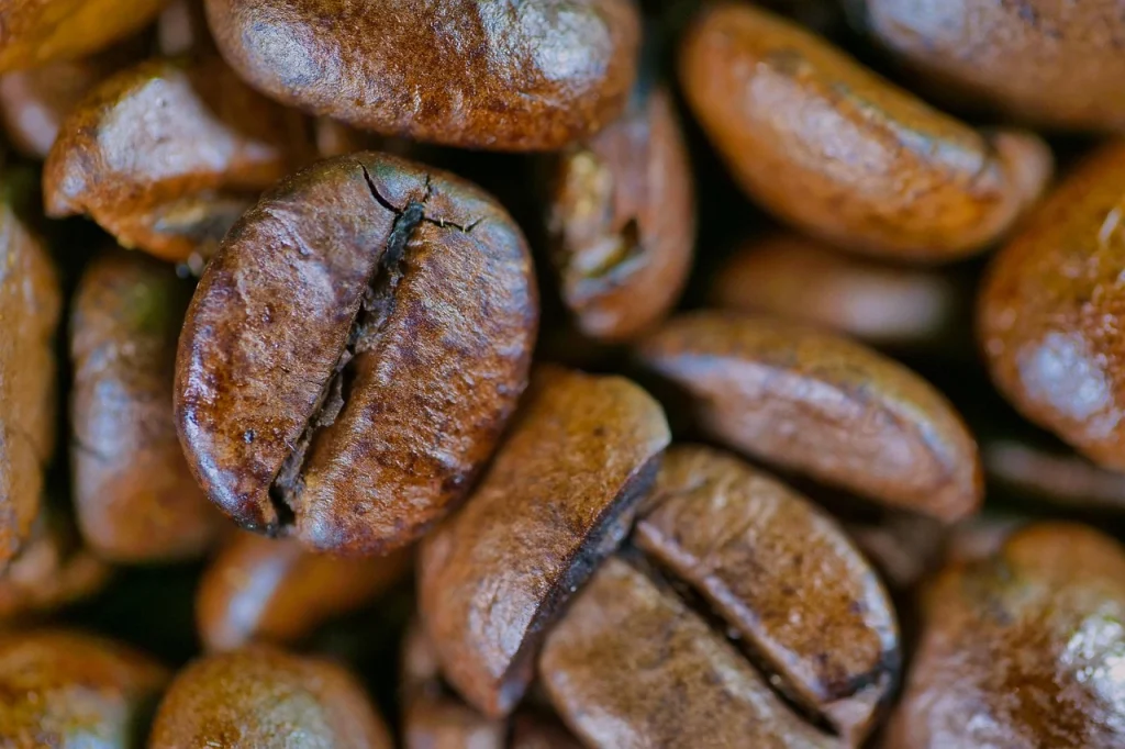 pečena zrna kafe